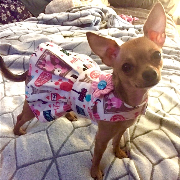 Other - XXS DOG CLOTHES Flannel Paris Dress NEW